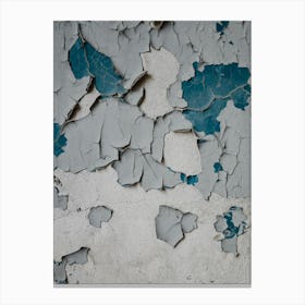 Peeling Paint Canvas Print