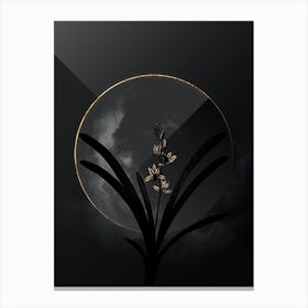 Shadowy Vintage Boat Orchid Botanical on Black with Gold n.0138 Canvas Print