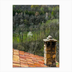 Tiled Roof 202304161212127pub Canvas Print