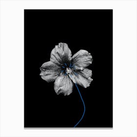 'Blue Flower' 1 Canvas Print