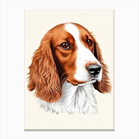 Welsh Springer Spaniel Illustration dog Canvas Print