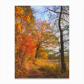 Autumn Trail trees Canvas Print