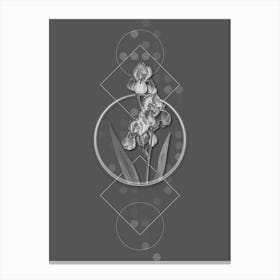Vintage Dalmatian Iris Botanical with Line Motif and Dot Pattern in Ghost Gray Canvas Print