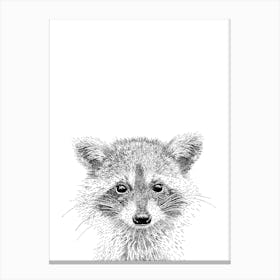 Raccoon Animal Print Canvas Print