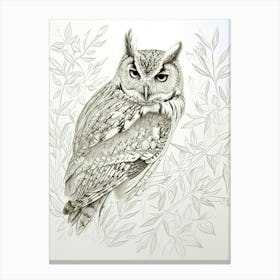 Collared Scops Owl Drawing 2 Canvas Print