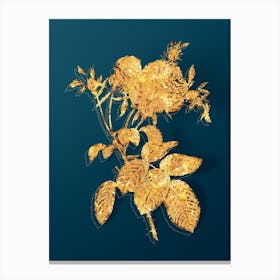 Vintage Pink Cabbage Rose de Mai Botanical in Gold on Teal Blue n.0133 Canvas Print