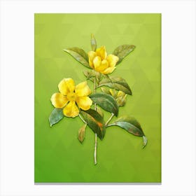 Vintage Golden Guinea Vine Botanical Art on Love Bird Green n.0304 Canvas Print