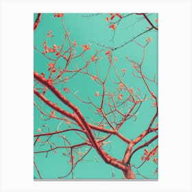 Red Leaves On A Tree Canvas Print