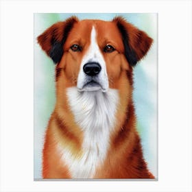 Finnish Spitz 2 Watercolour dog Canvas Print