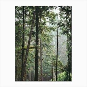 Tranquility Canvas Print