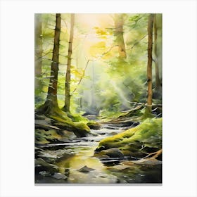 Watercolour Of A Stream Canvas Print