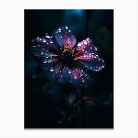 Raindrops On A Flower Canvas Print