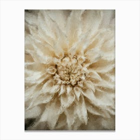 Dahlia Oil Painting Canvas Print