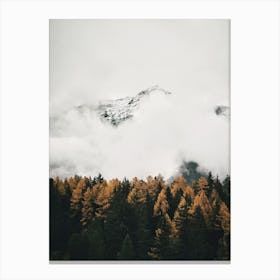 Foggy Mountain Forest 1 Canvas Print