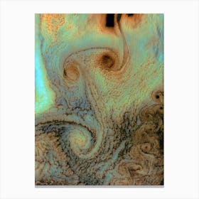 Swirls On Jupiter Canvas Print