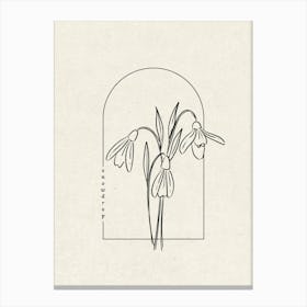 Snowdrop Flower Canvas Print