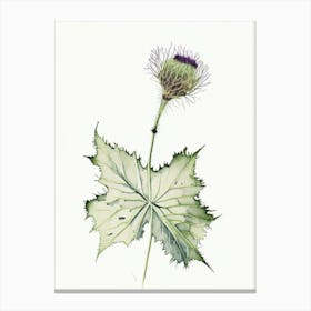 Burdock Herb Minimalist Watercolour 1 Canvas Print