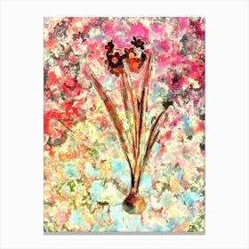 Impressionist Daffodil Botanical Painting in Blush Pink and Gold 1 Canvas Print