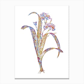 Stained Glass Iris Fimbriata Mosaic Botanical Illustration on White n.0048 Canvas Print