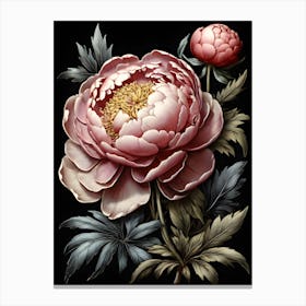 Peony Wildflower Canvas Print