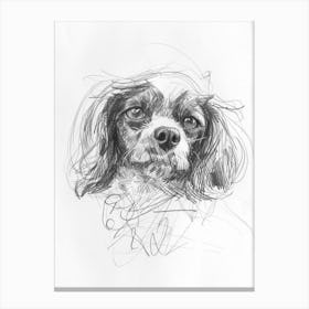 English Toy Spaniel Dog Charcoal Line 4 Canvas Print