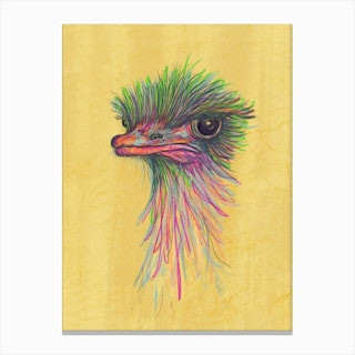 Olive The Ostrich Canvas Print