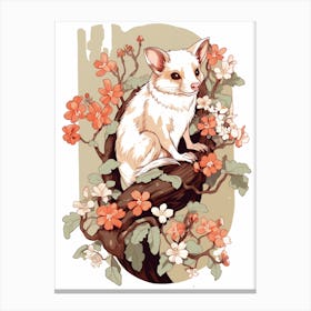 An Illustration Of A Climbing Possum 3 Canvas Print