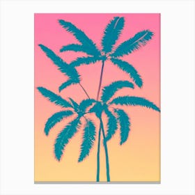 Palm Trees Canvas Print