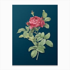 Vintage Red Gallic Rose Botanical Art on Teal Blue Canvas Print