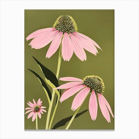 Pink & Green Coneflower 2 Canvas Print