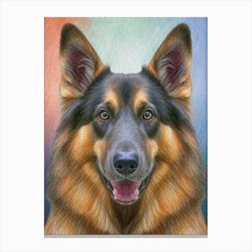 Splendid Max Canvas Print