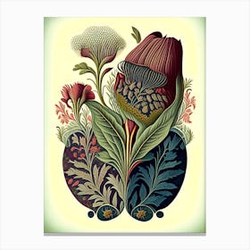 Beard Tongue Wildflower Vintage Botanical 1 Canvas Print