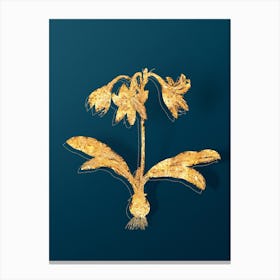 Vintage Netted Veined Amaryllis Botanical in Gold on Teal Blue Canvas Print