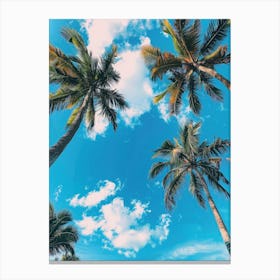Palm Trees In The Sky 3 Canvas Print