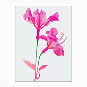 Hot Pink Gloriosa Lily 2 Canvas Print