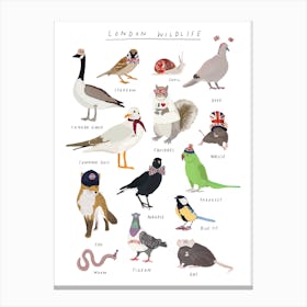 London Wildlife Canvas Print