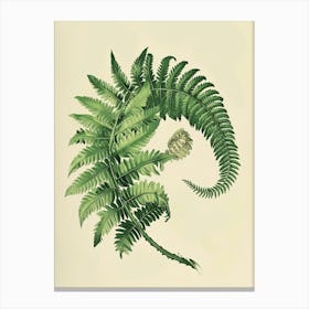 Vintage Illustration Upside Down Fern 4 Canvas Print