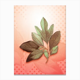 Bay Laurel Vintage Botanical in Peach Fuzz Polka Dot Pattern n.0167 Canvas Print