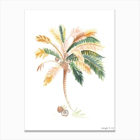 Unawatuna Palm Canvas Print