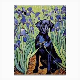 Van Gogh Irises With Black Dog Canvas Print