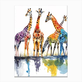 Giraffes Looking Into The Watering Hole 2 Canvas Print