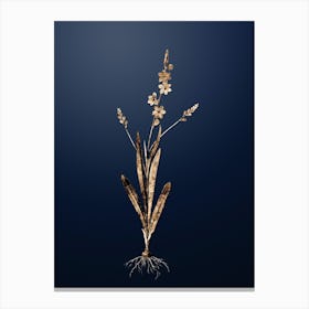 Gold Botanical Ixia Scillaris on Midnight Navy n.1251 Canvas Print