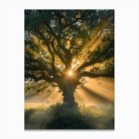 Tree Of Life 20 Canvas Print