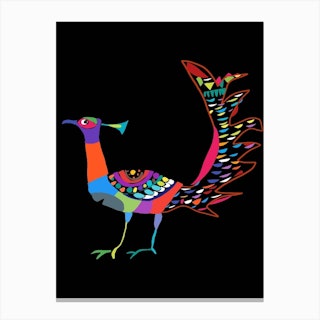 Colorful Pheasant Canvas Print