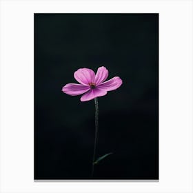 Pink Flower 7 Canvas Print