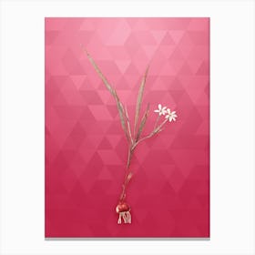 Vintage Gladiolus Inclinatus Botanical in Gold on Viva Magenta Canvas Print