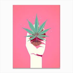 Marijuana Leaf In Hand Canvas Print