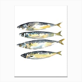 Sardines 4 Canvas Print