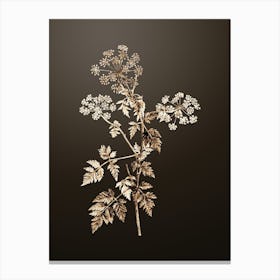 Gold Botanical Hemlock Flowers on Chocolate Brown n.3653 Canvas Print