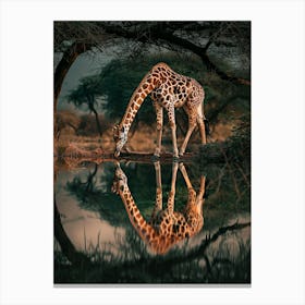 Giraffe In Water Canvas Print